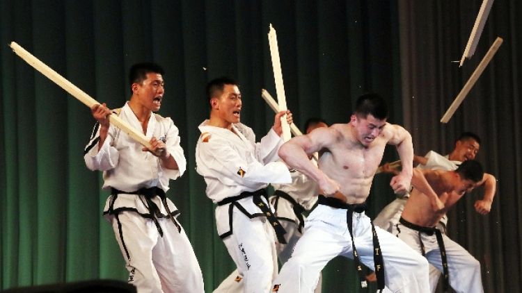 Grand Prix taekwondo,Pietrangeli coperto
