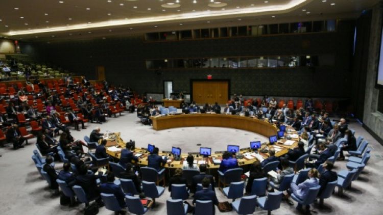 L'ONU se choisit cinq nouveaux membres pour son Conseil de sécurité