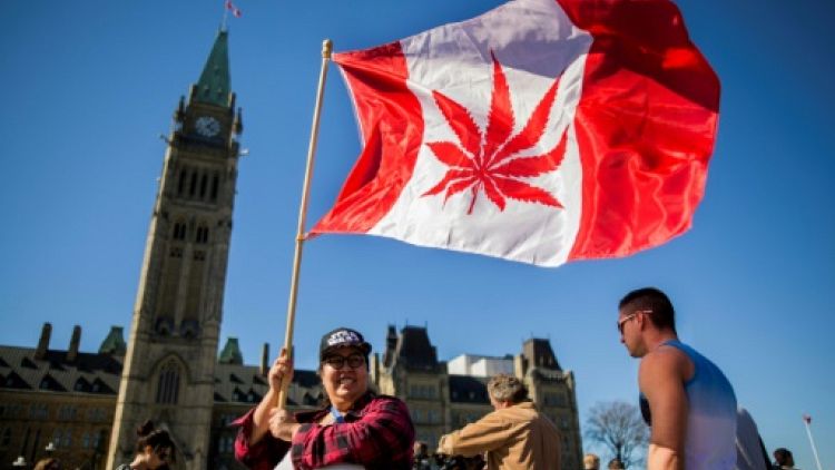 Canada: les députés votent la légalisation du cannabis