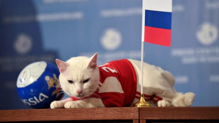 آمال روسيا أمام مصر معلقة بصحة توقعات القط إخيليس