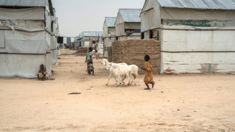 Nigeria: inquiétudes sur le retour des déplacés de Boko Haram