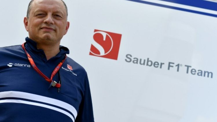 GP de France: pour Frédéric Vasseur, "la mayonnaise prend bien" chez Sauber