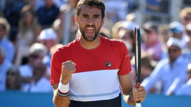 Tennis: Cilic domine Djokovic et remporte son premier titre de l'année au Queen's