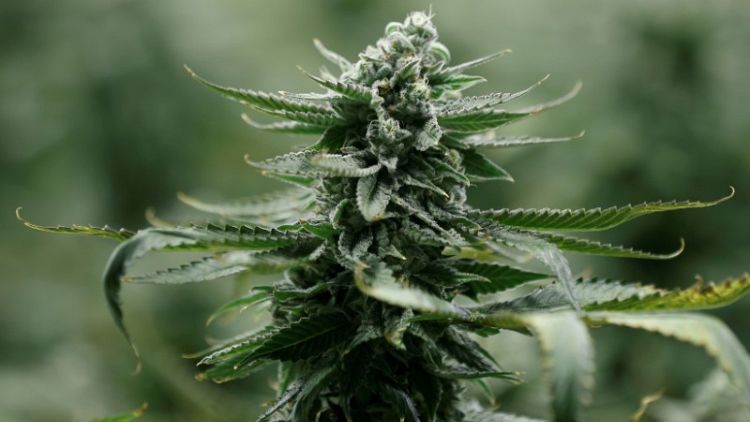 U.S. approves first marijuana plant-derived drug for epilepsy
