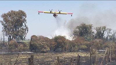 Antincendio, più mezzi in Sardegna Antincendio, più mezzi in Sardegna