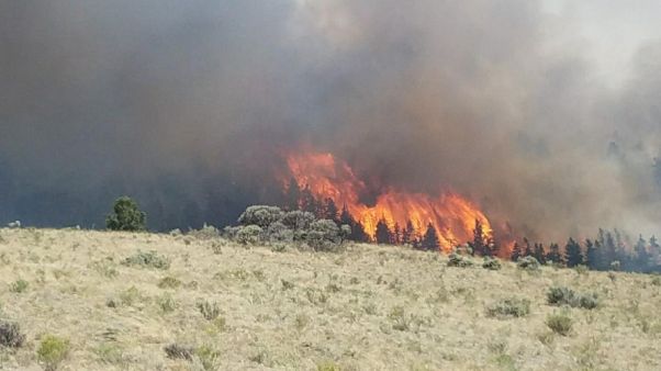 Fast-growing California wildfire prompts evacuations, spreads ash Fast-growing California wildfire prompts evacuations, spreads ash
