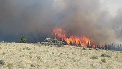 القبض على رجل أضرم حريقا في غابة بكولورادو