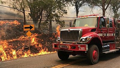 فرق الإطفاء تحرز تقدما في مكافحة حريق غابات بشمال كاليفورنيا