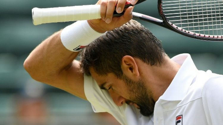 Wimbledon: le finaliste sortant Marin Cilic renversé en cinq sets
