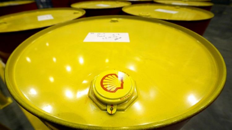 Shell CEO says 'foolhardy' to set carbon reduction targets