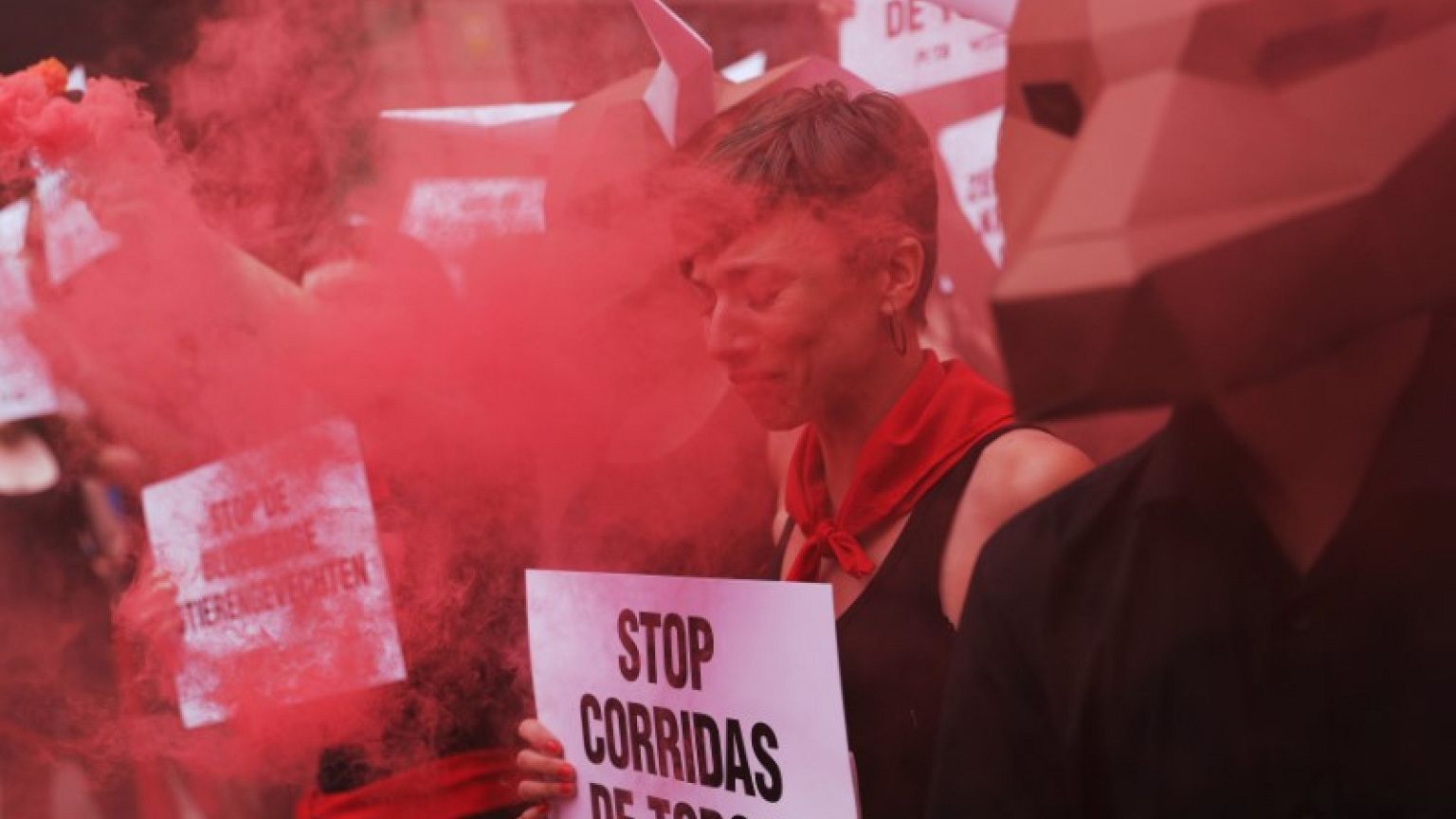 Activists protest bullfights ahead of Spain's San Fermin festival