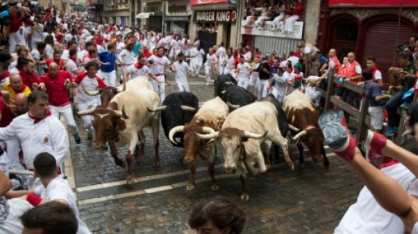 Aux "encierros" de la San Fermin, Iñigo et Raul risquent leur vie "pour rien" Aux "encierros" de la San Fermin, Iñigo et Raul risquent leur vie "pour rien"