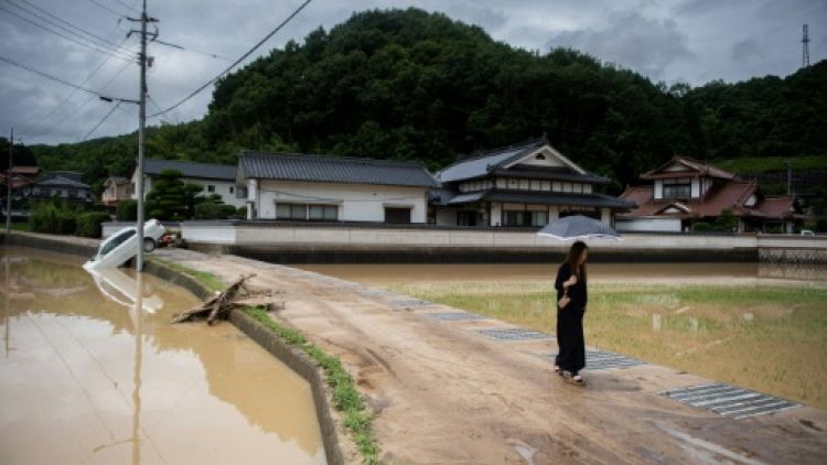 "Jamais vu ça": le sombre retour d'un fermier japonais dans sa maison dévastée