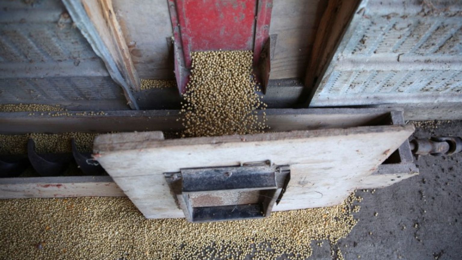 China will reimburse tariffs costs for soybeans bought for state reserves - Bloomberg