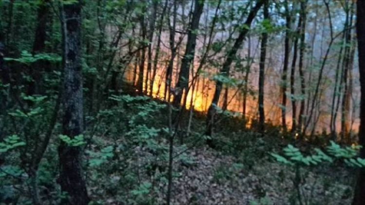 Incendio nel bosco in Val di Vizze