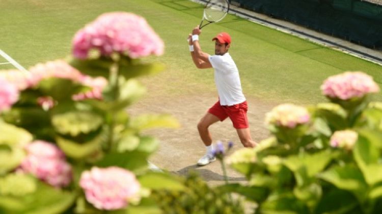 Wimbledon: le renaissant Djokovic à l'épreuve d'un Nadal incandescent