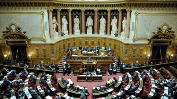 Sport: le Sénat confie aux partenaires sociaux la fixation de la durée du premier contrat pro Sport: le Sénat confie aux partenaires sociaux la fixation de la durée du premier contrat pro
