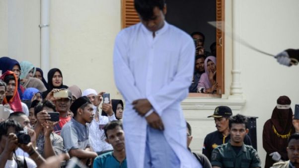Indonésie: coups de bâton pour un couple gay à Aceh, région pro-charia Indonésie: coups de bâton pour un couple gay à Aceh, région pro-charia