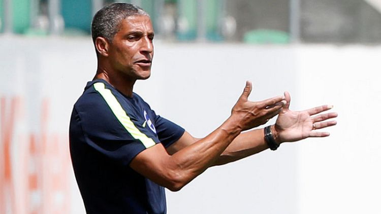 Brighton's World Cup trio need to rediscover best form - Hughton
