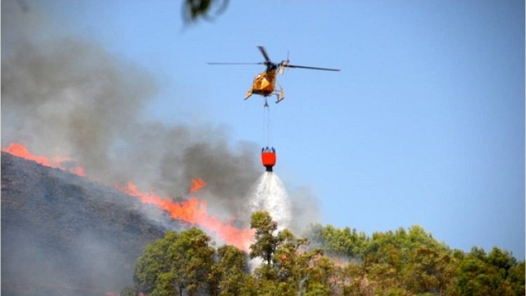Incendi: resta l'allerta in Sardegna
