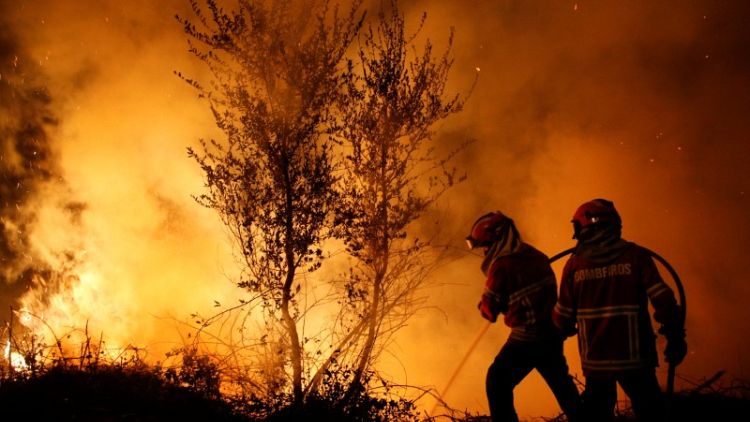 Portugal turns to elite firefighters to avoid repeat of forest fire tragedy