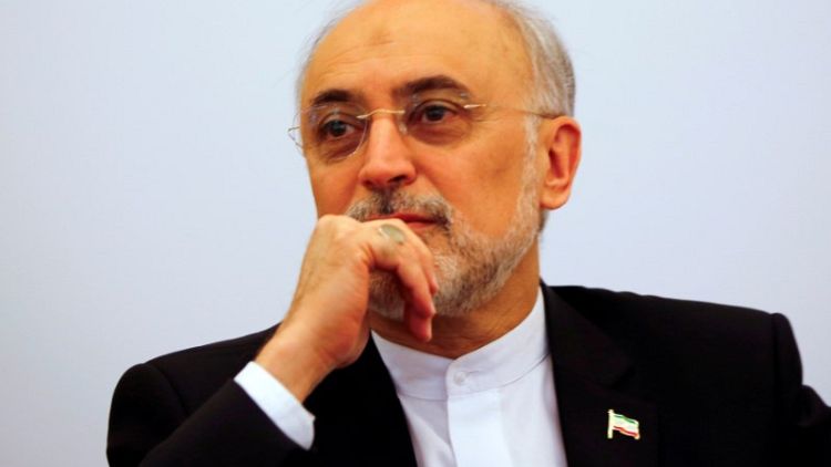Iran builds new centrifuge rotor factory - nuclear chief