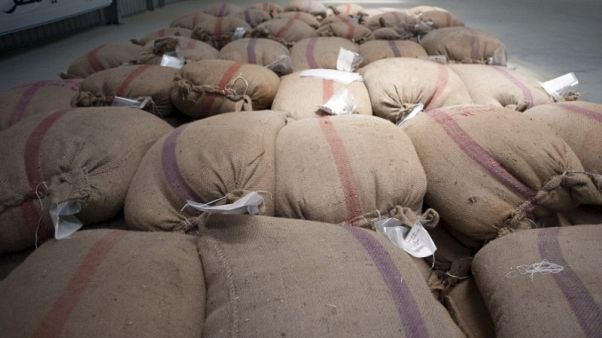 مصر توافق على شراء 120 ألف طن قمحا بالاتفاق المباشر من ايه.أو.إس والوحدة مصر توافق على شراء 120 ألف طن قمحا بالاتفاق المباشر من ايه.أو.إس والوحدة