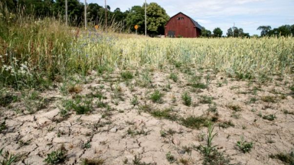 La vague de chaleur en Europe provoque sécheresse et incendies La vague de chaleur en Europe provoque sécheresse et incendies