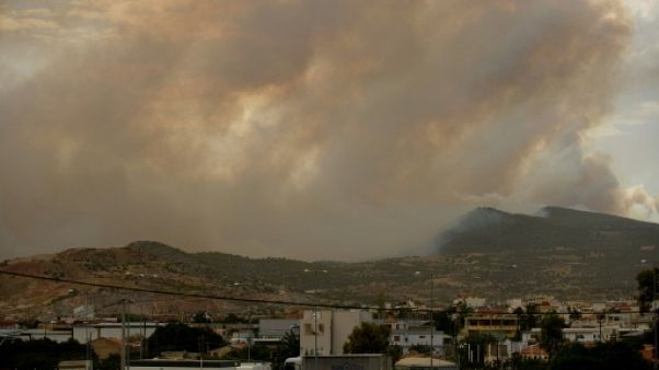 Grèce : un feu de forêt menace des zones habitées à l'ouest d'Athènes Grèce : un feu de forêt menace des zones habitées à l'ouest d'Athènes
