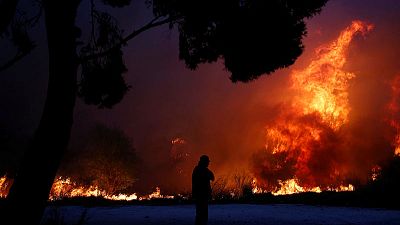 مقتل شخص وإصابة 25 في حرائق الغابات باليونان