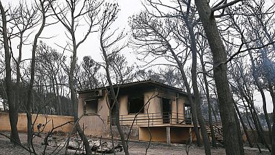 مسؤول محلي: أكثر من 60 قتيلا في حرائق الغابات باليونان