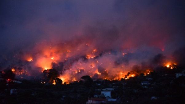 Un feu de forêt près d'Athènes, le 23 juillet 2018 Un feu de forêt près d'Athènes, le 23 juillet 2018