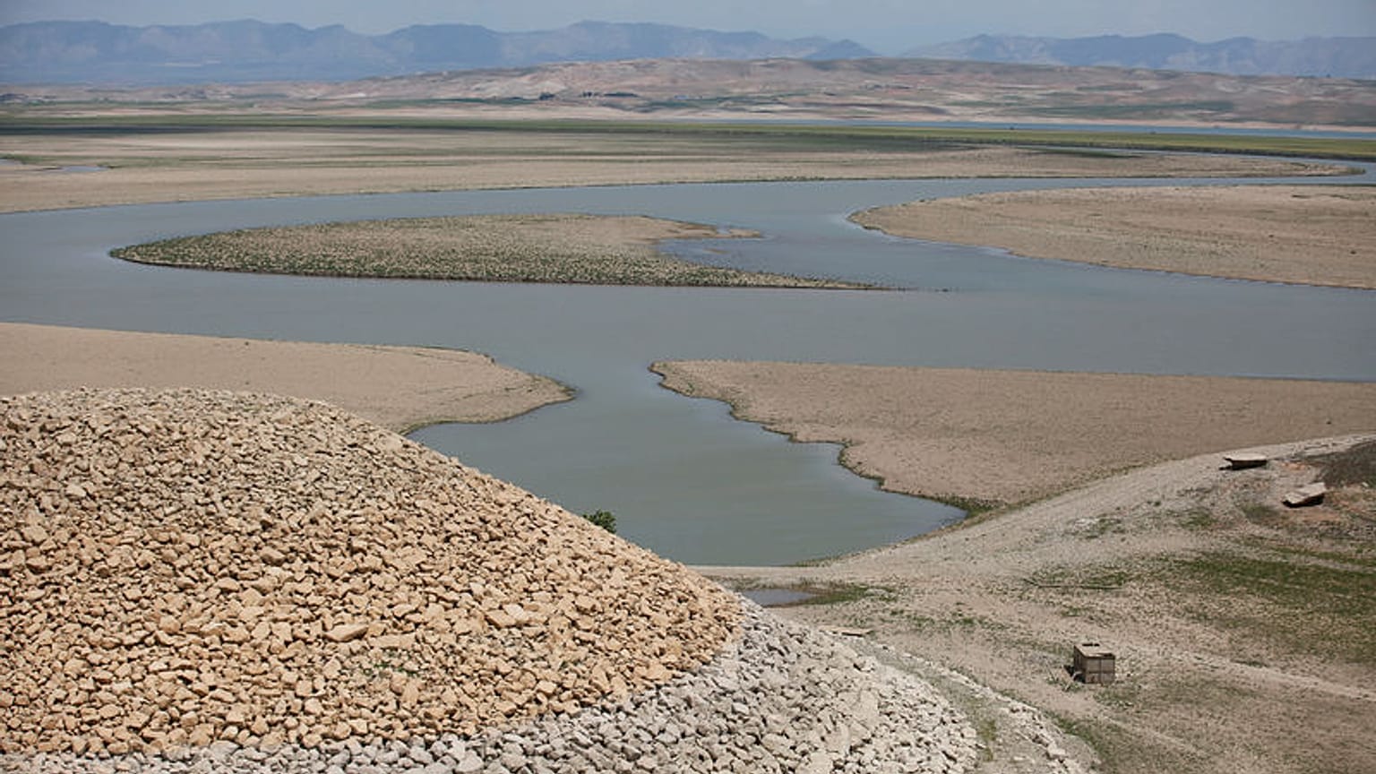 Special Report - How Iraq's agricultural heartland is dying of thirst