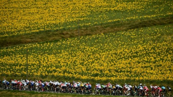 Tour de France: l'étape de jeudi pour les hommes de la plaine Tour de France: l'étape de jeudi pour les hommes de la plaine