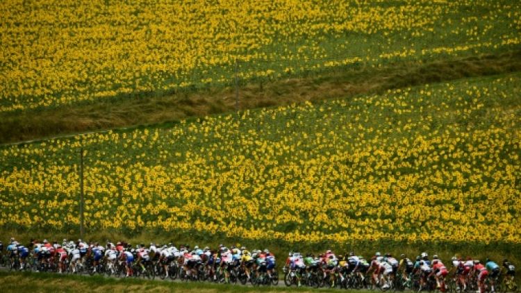 Tour de France: l'étape de jeudi pour les hommes de la plaine