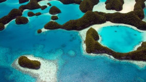 Photo non datée des îles Palaos obtenue le 28 octobre 2015 Photo non datée des îles Palaos obtenue le 28 octobre 2015