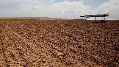 تقرير خاص-قلب الأرض الزراعية في العراق يموت عطشا