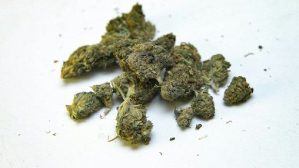 La cannabis thérapeutique va être autorisé au Royaume-Uni sur prescription La cannabis thérapeutique va être autorisé au Royaume-Uni sur prescription
