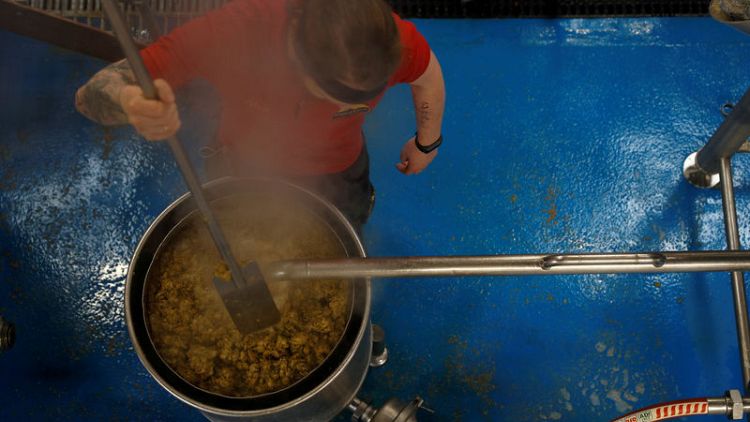 Cheer for beer brewers as world hop harvest looks good