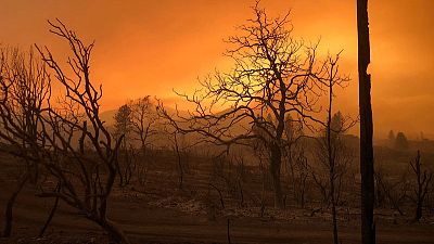فقد تسعة أشخاص في ظل استمرار حريق غابات في كاليفورنيا