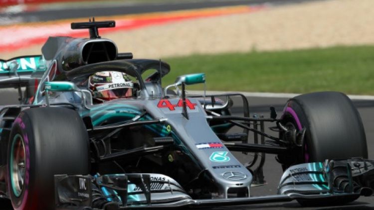 GP de Hongrie: Hamilton (Mercedes) en pole sous la pluie