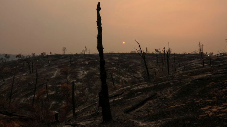 ارتفاع عدد الوفيات جراء حرائق الغابات في كاليفورنيا إلى خمسة