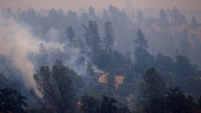 ارتفاع عدد قتلى حرائق غابات كاليفورنيا إلى 6 أشخاص