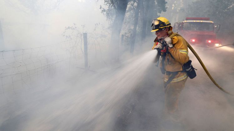 هدوء الرياح يقدم العون في مكافحة حرائق غابات كاليفورنيا