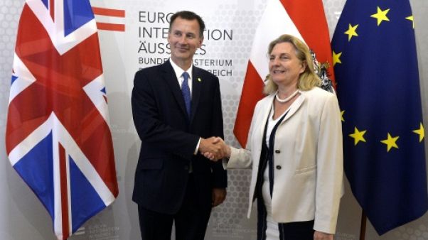 Brexit: Hunt met en garde contre un "divorce houleux" avec l'UE Brexit: Hunt met en garde contre un "divorce houleux" avec l'UE