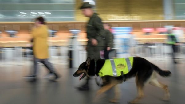 En Colombie, une chienne anti-drogue menacée par les trafiquants En Colombie, une chienne anti-drogue menacée par les trafiquants