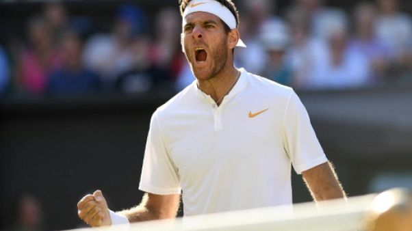 Tennis: Del Potro rejoint Fognini en finale à Los Cabos Tennis: Del Potro rejoint Fognini en finale à Los Cabos