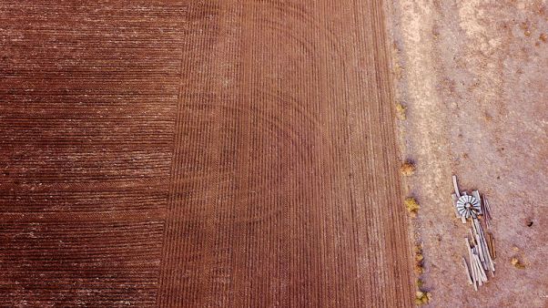 Australian east coast rains bring some relief to drought-hit farmers Australian east coast rains bring some relief to drought-hit farmers