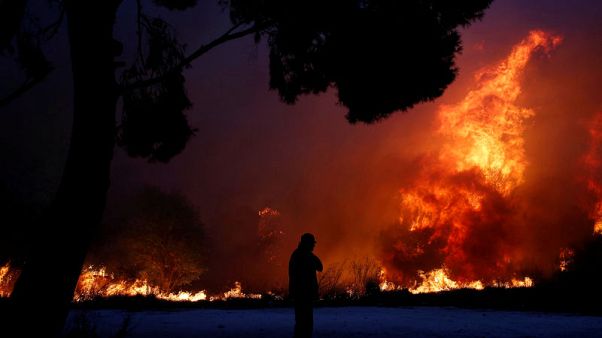 Greek civil protection chief resigns over deadly wildfire Greek civil protection chief resigns over deadly wildfire
