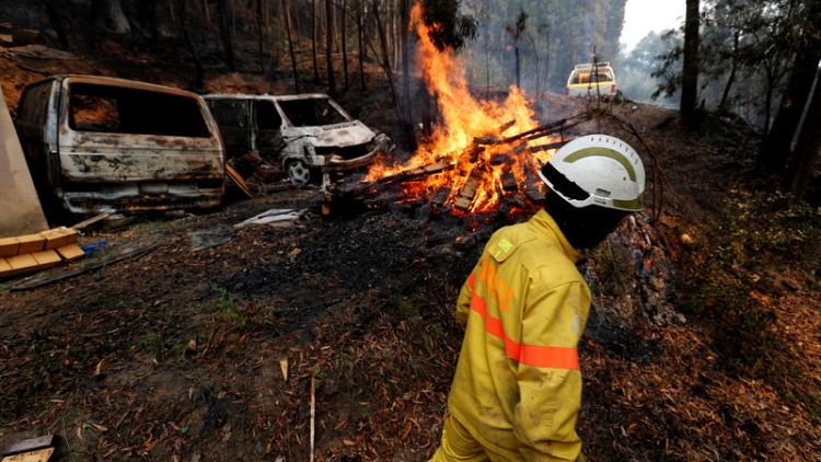 استمرار حرائق الغابات في البرتغال لليوم الرابع ونشر 1150 رجل إطفاء